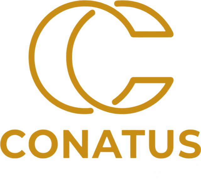 Conatus Contabilidade